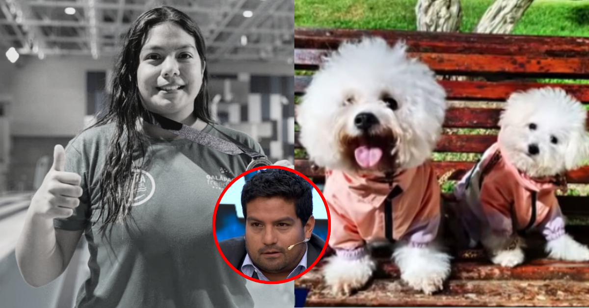 Perritos de Lizeth Marzano siguen ESPERANDO que ella regrese: "Se pone a llorar"