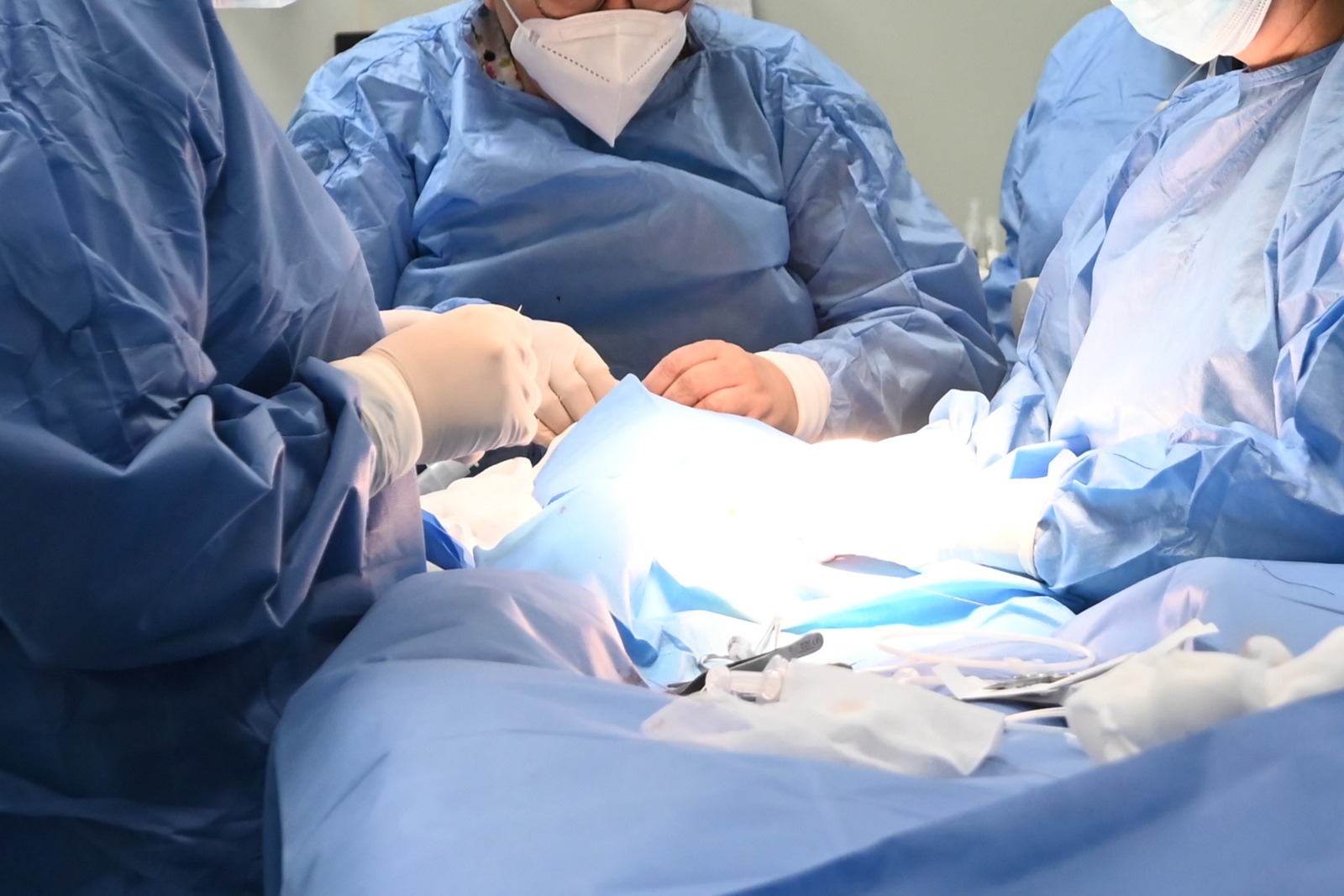 En solo 2 meses del 2026, m�s de 20 ni�os fueron atacados por perros.