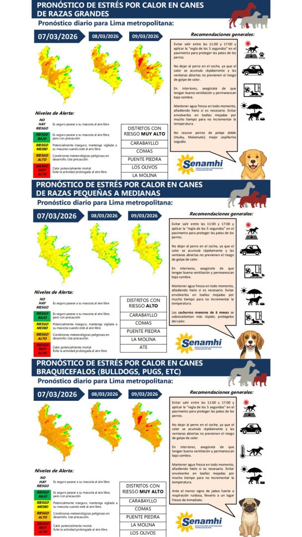 Senamhi recomend� evita sacar a pasear a tu mascota entre las 11:00 a. m. y las 5:00 p. m.