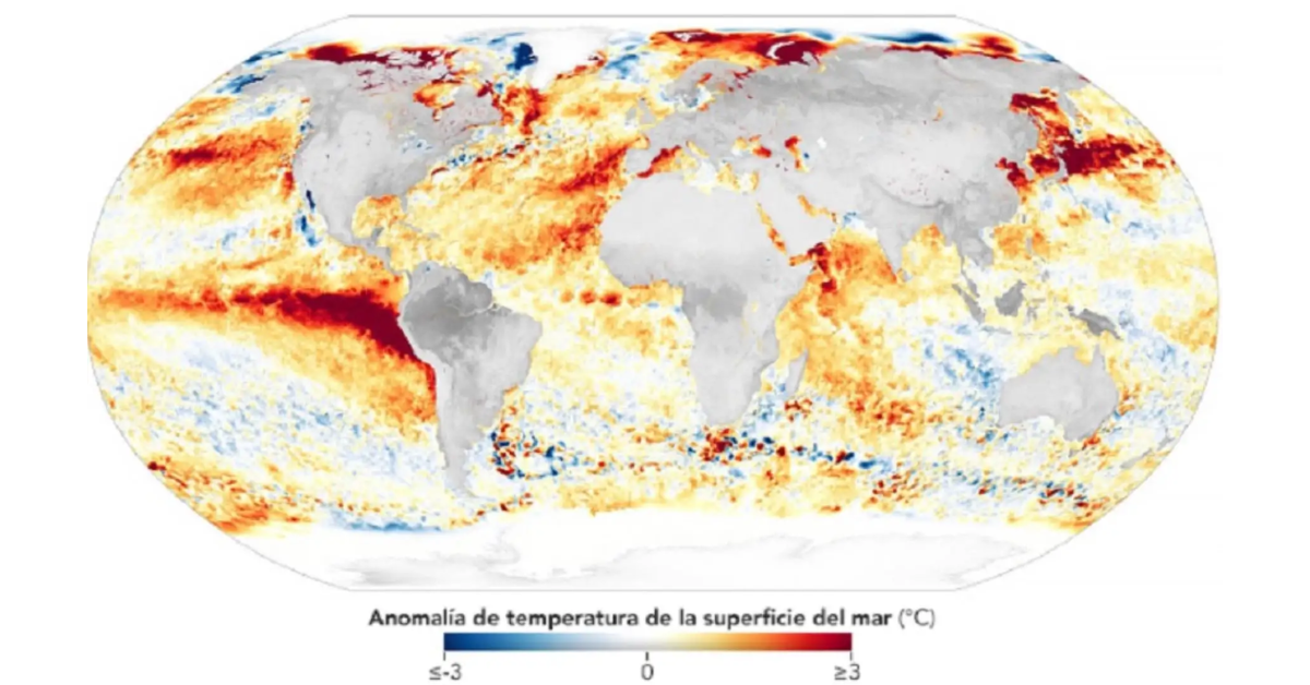 ¿Habrá Niño Global? Esto anuncian científicos de la NOAA de EE.UU. para los próximos meses del 2026