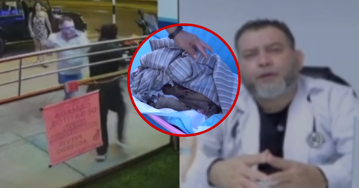 Surco: Hombre abandona a ocho cachorritos y agrede a médico veterinario