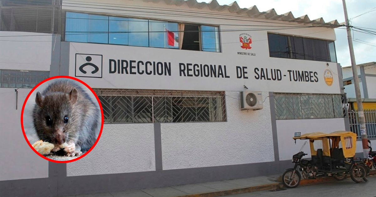 Tumbes: menor muere por leptospirosis tras exposición a aguas contaminadas
