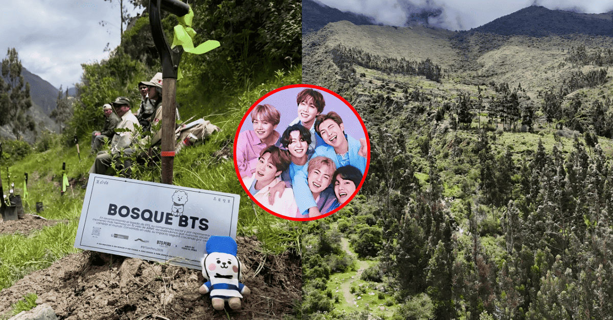 Bosque BTS en Cusco: Army Perú impulsó la plantación de 2 mil árboles nativos en Machu Picchu