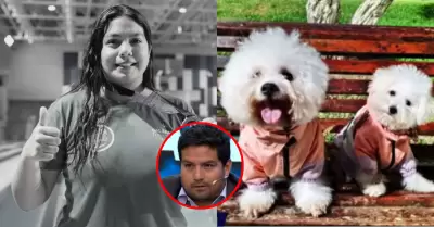 Mascotas de Lizeth Marzano siguen esperando que ella regrese, afirma su hermano