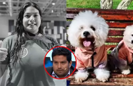 Mascotas de Lizeth Marzano siguen esperando que ella regrese, afirma su hermano