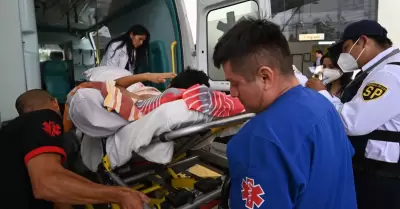 En solo 2 meses, m�s de 20 ni�os con mordeduras de perro fueron atendidos en el