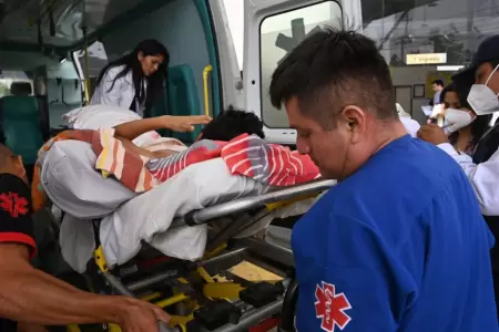 En solo 2 meses, m�s de 20 ni�os con mordeduras de perro fueron atendidos en el