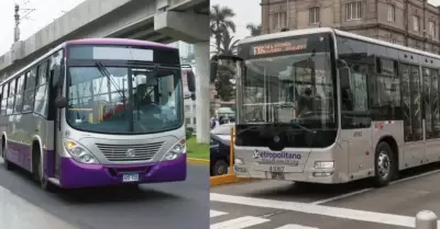 Metropolitano y corredores operar�n con normalidad
