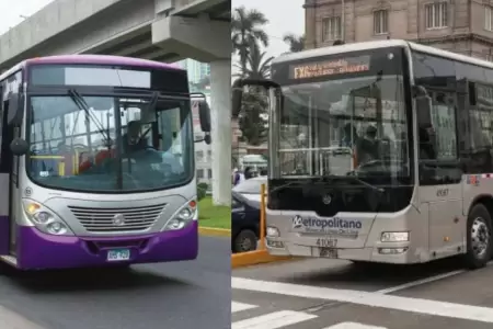 Metropolitano y corredores operar�n con normalidad