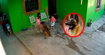 La menor fue trasladada de urgencia a un hospital tras el feroz ataque ocurrido