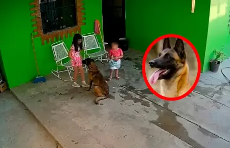 La menor fue trasladada de urgencia a un hospital tras el feroz ataque ocurrido