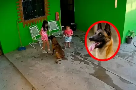 La menor fue trasladada de urgencia a un hospital tras el feroz ataque ocurrido