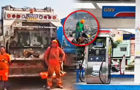 Alertan acumulaci�n y presencia de roedores que ponen en peligro la salud.