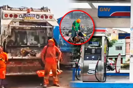 Alertan acumulaci�n y presencia de roedores que ponen en peligro la salud.