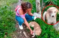 �Indignaci�n en Iquitos!: Perro casi pierde el ojo tras ataque con machete en San Juan Bautista