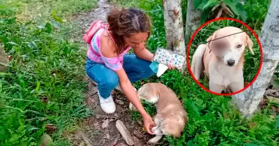 El denunciado estaria acostumbrado a agredir animales