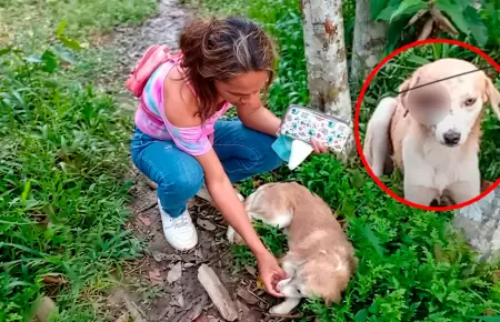 El denunciado estaria acostumbrado a agredir animales