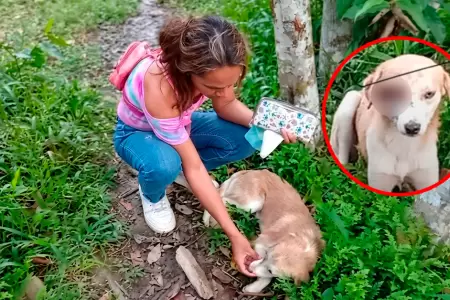 El denunciado estaria acostumbrado a agredir animales