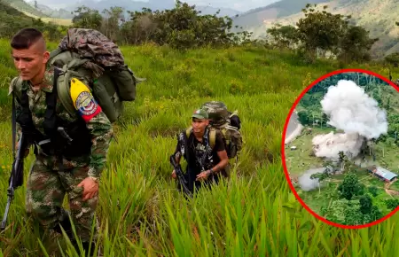 La zona donde operaba el campamento utilizado por la organizaci�n criminal para