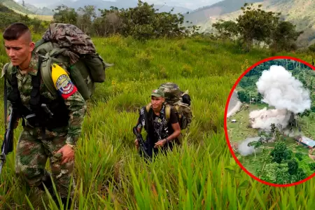 La zona donde operaba el campamento utilizado por la organizaci�n criminal para