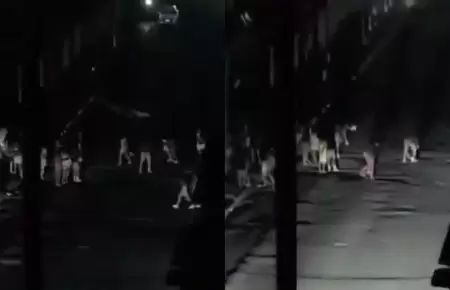 Registran protestas en Cuba por apag�n desde hace 3 d�as