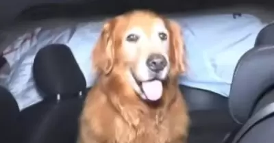 Hombre pierde la vida tras violento choque