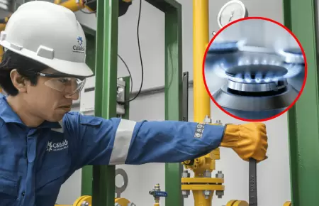 C�lidda informa medidas sobre priorizaci�n del gas natural