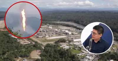 TGP tiene plazo de 10 d�as para presentar informe final