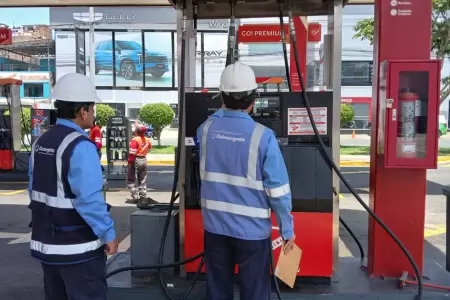 Osinergmin e Indecopi visitaron grifos de Lima en medio de la crisis por el GNV.