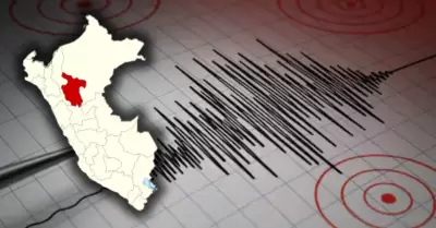 Temblor en San Mart�n