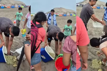 Familia lleva arroz con pollo a la playa y se le cae
