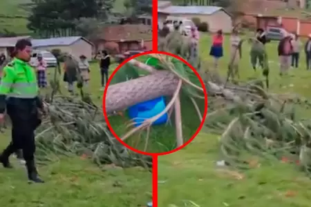 Menor falleci� por impacto de �rbol tras caer de forma repentina