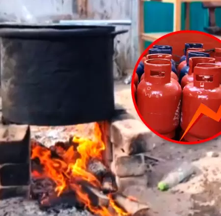 Ollas comunes se ven obligadas a recurrir a la le�a ante encarecimiento del gas.