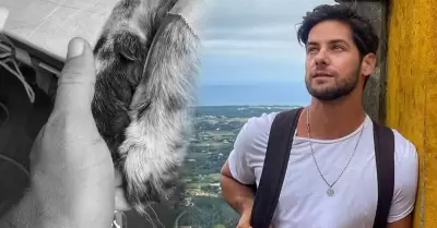 Andr�s Wiese llora la p�rdida de Manchas.