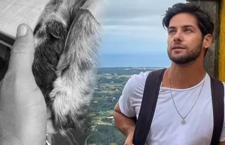 Andr�s Wiese llora la p�rdida de Manchas.