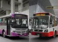Buses de corredores PODR�AN PARALIZAR servicio en Lima: Escasez de gas pone en jaque al transporte