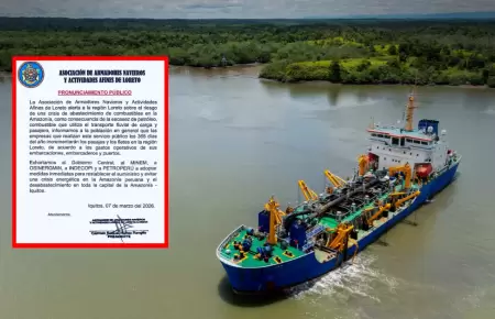 Armadores navieros advierten grave crisis en la Amazon�a