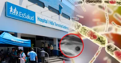 Pruebas de la identificaci�n de la bacteria resultaron negativas