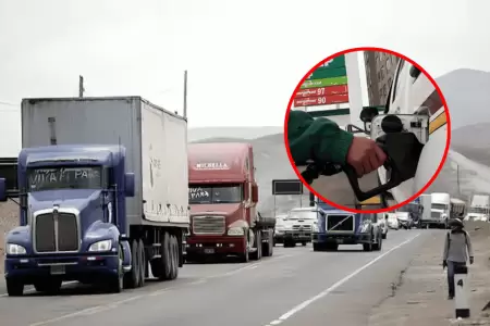 Transportistas de carga pesada exhortan al Gobierno a que se comercialice m�s ga