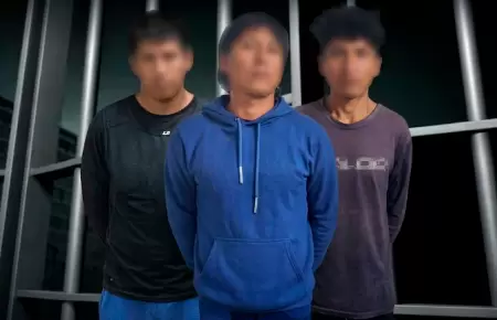 Sentencia judicial contra integrantes de Sendero Luminoso reafirma acciones del