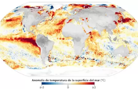 Fen�meno El Ni�o global se presentar� desde junio y agosto