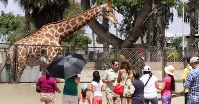 Parque de las Leyendas lanza 50% de descuento en entradas