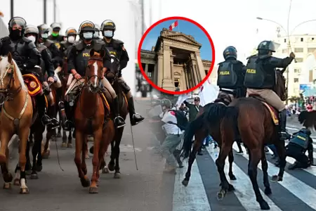 Sala Constitucional suspendi� el uso de estos animales durante el control de mul