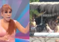 Magaly revela que Said y Mario se quedaron solo con DOS CHICAS de la fiesta del yate: "Ustedes interpreten"
