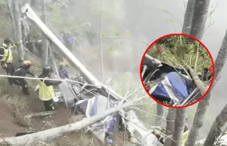 Heredero millonario, una embarazada y exfutbolista fallecieron en accidente a�re