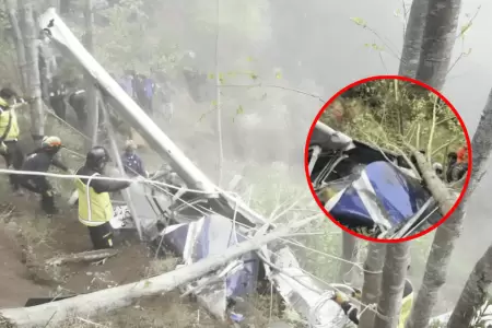 Heredero millonario, una embarazada y exfutbolista fallecieron en accidente a�re