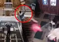 Arrestan a hombre que profan� iglesia tras escupir en altar y lanzar una cruz