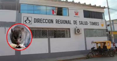 Zonas afectadas por inundaciones y acumulaci�n de agua estancada en Tumbes