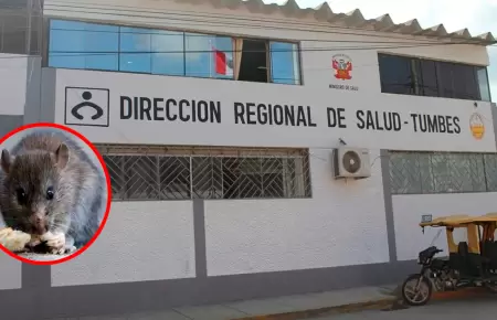 Zonas afectadas por inundaciones y acumulaci�n de agua estancada en Tumbes