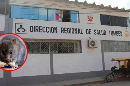 Zonas afectadas por inundaciones y acumulaci�n de agua estancada en Tumbes